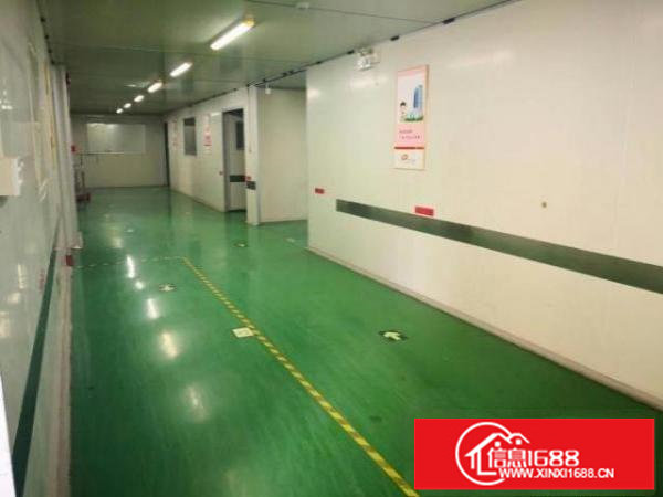 新生路边原房东楼上带装修1000平厂房出租分租