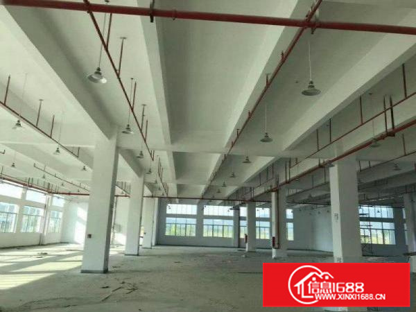 镇隆原房东11000平独院厂房出租（手续齐全）