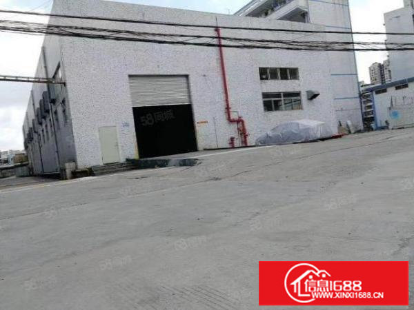 布吉丹竹头一二楼仓库出租200平500平3400平可分租