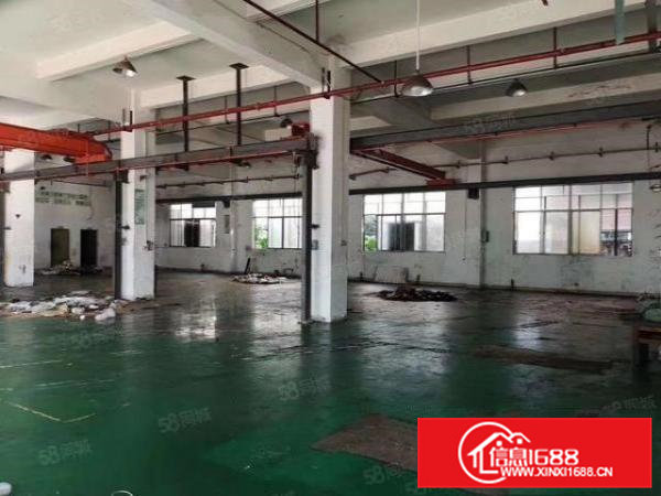 18块起，桥头杜岗头原房东标准一楼780平，精装修