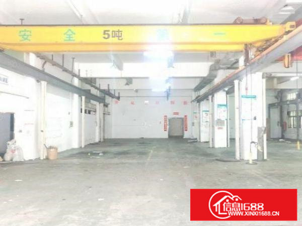 原房东一楼1580平层高6.5米带阁楼有行车