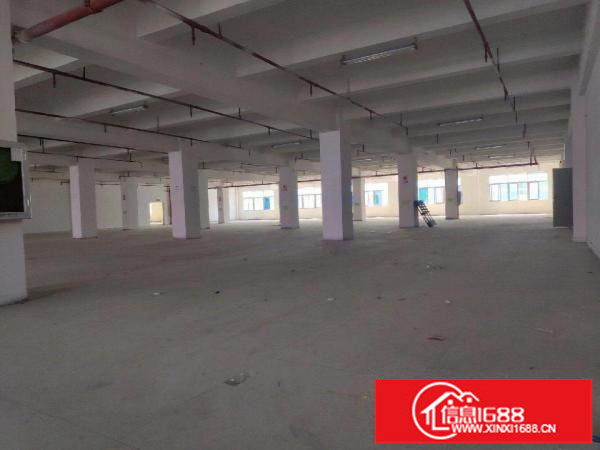 出租龙岗区横岗六约4楼整层3900平方可分租红本厂房