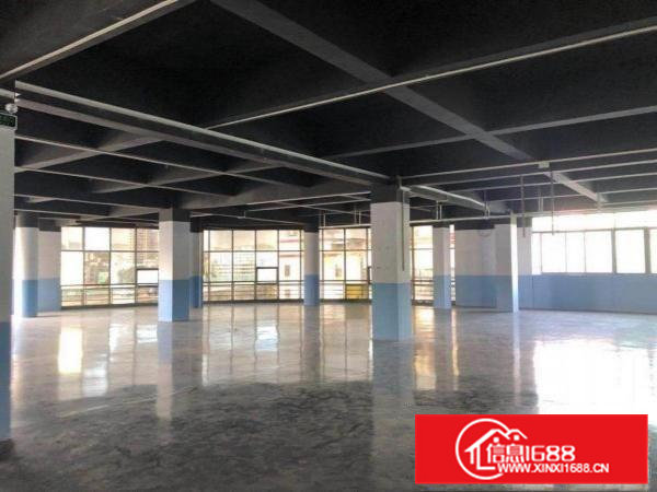 靠近服装市场，电商优选