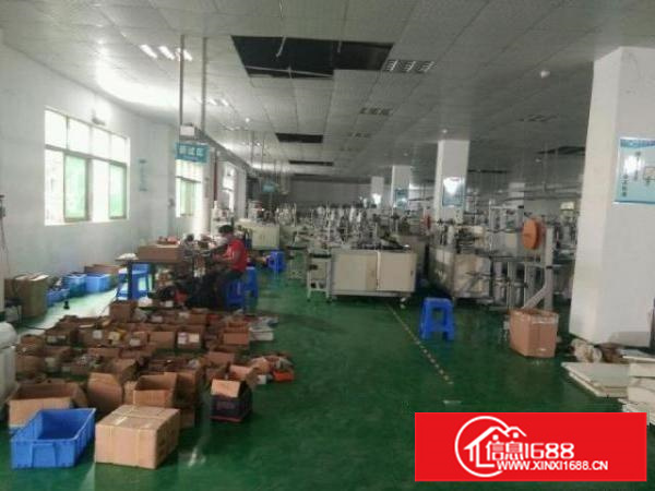 凤凰一楼厂房1400平