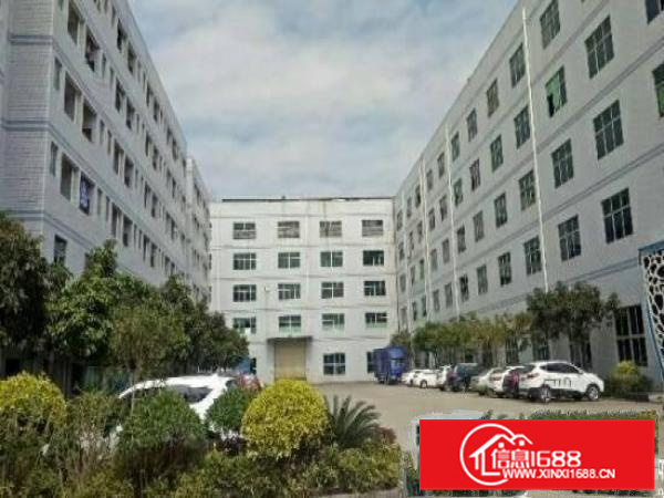 全新厂房1200平方