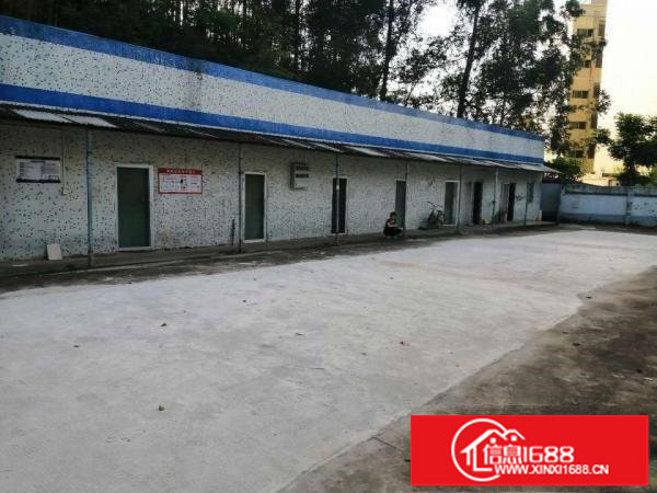 坪地年丰原房东独院钢构厂房1850平米，实际面积租18元