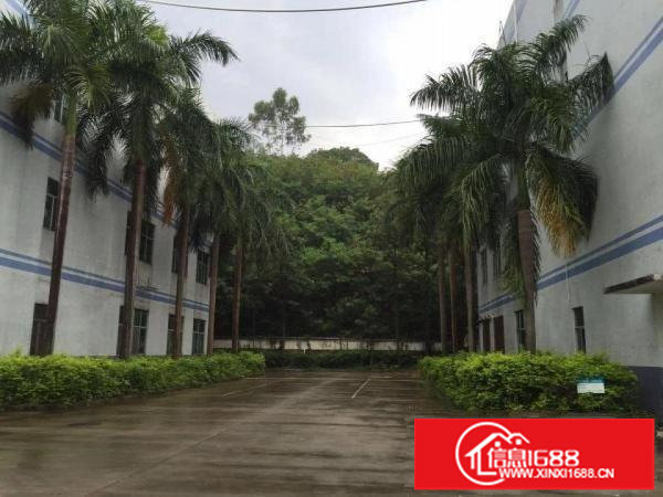 横岗小面积厂房加办公300到600平米大小分组