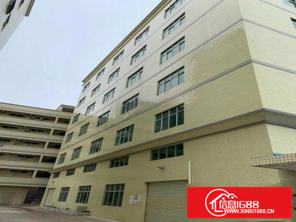 惠阳新圩原房东厂房出租