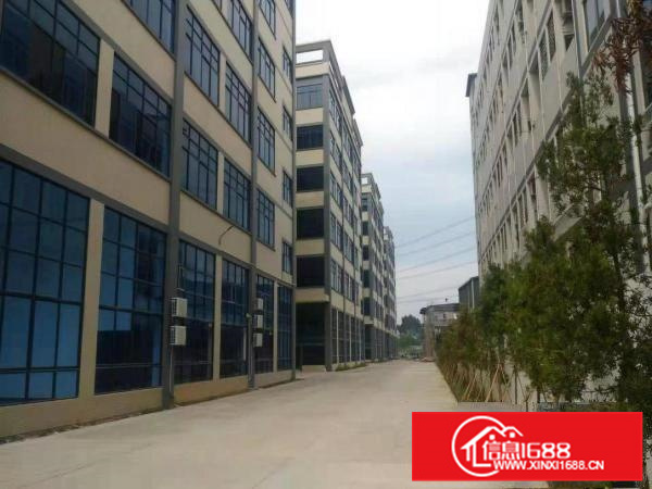 博罗罗阳全新大型自动氧化工业园共54000平方厂房出租