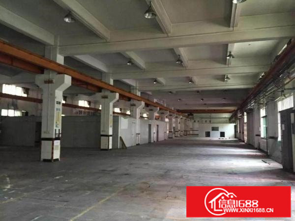 镇中心1000一楼标准厂房6米高出租