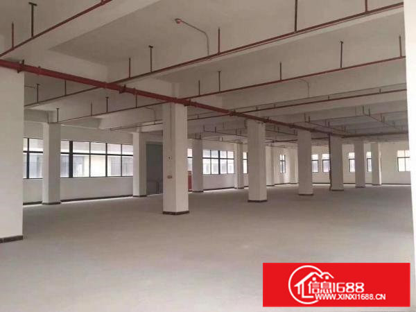 寮步镇原房东出租标准重工业厂房一楼层高6米