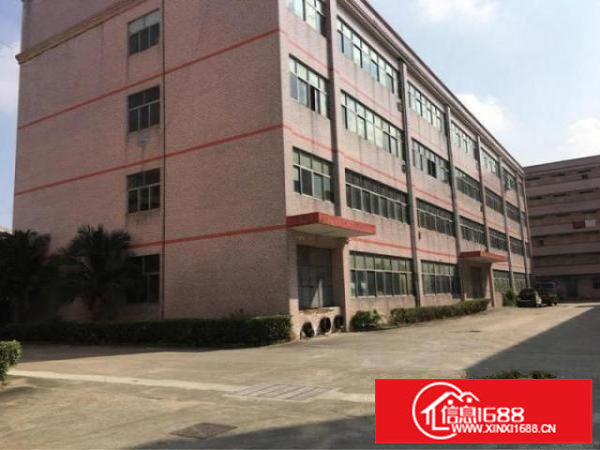 观澜原房东一整层1500平20全包带精装修免转让费空地超