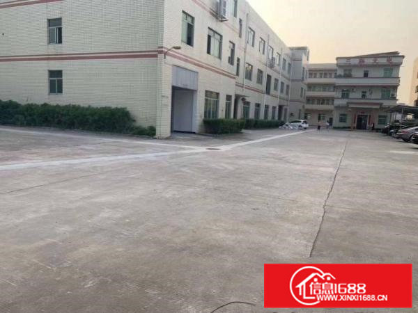 （原房东直租）清溪三中近凤岗原房东一整层1300平现成水电