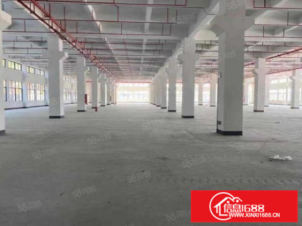 东莞市常平镇全新原房东标准厂房分租一楼3000平方