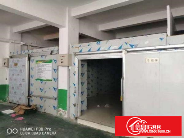 平湖海吉星附近3600平方整栋冷链，快消品，冷库配送厂房出租