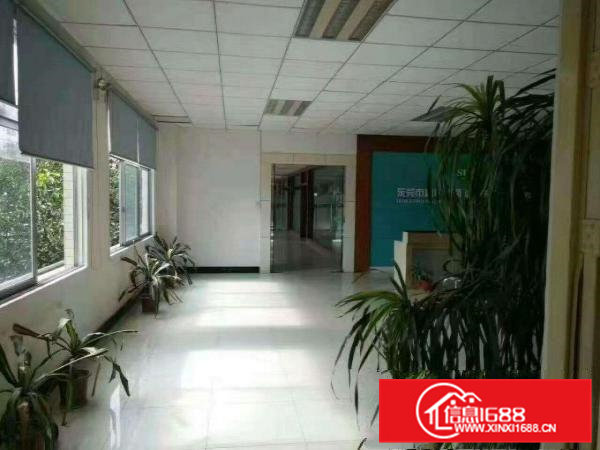 清溪铁松新出花园式2300平米带豪华装修厂房出租