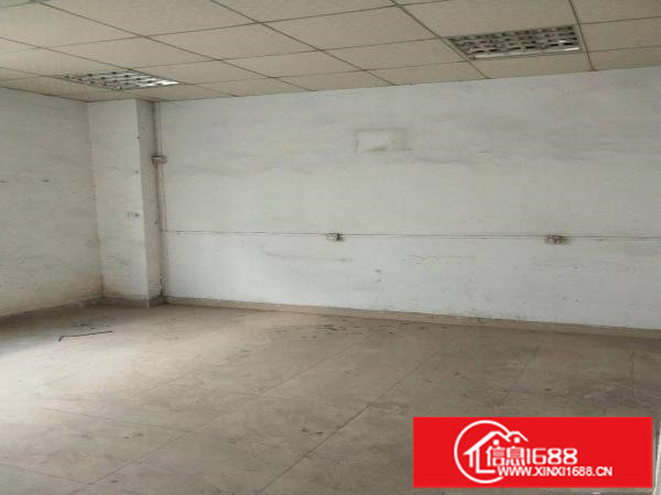 龙岗一楼高度6米260平米厂房招租