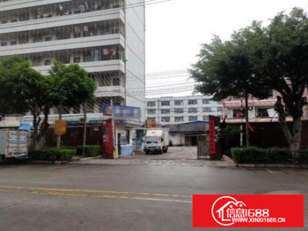 爱联独门独院单一层400平厂房出租水电齐全