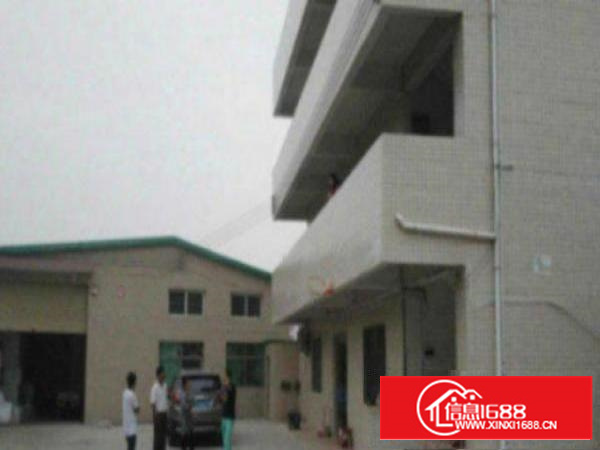 万江独门独院单一层铁皮1200平方急租;大量厂房出租有空地，