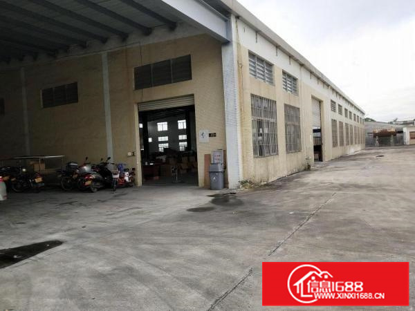 惠城12米独院钢构招租