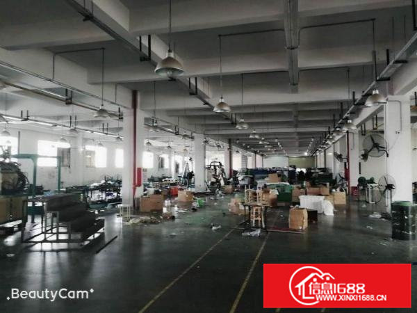 大岭山精装修标准独院厂房15000平米