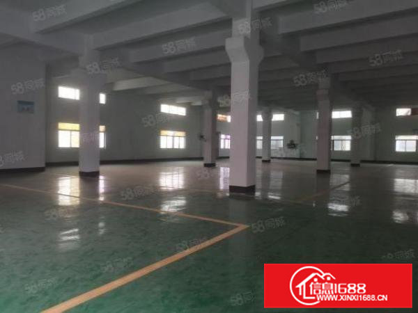 凤岗金凤凰原房东一楼3000平方厂房仓库出租