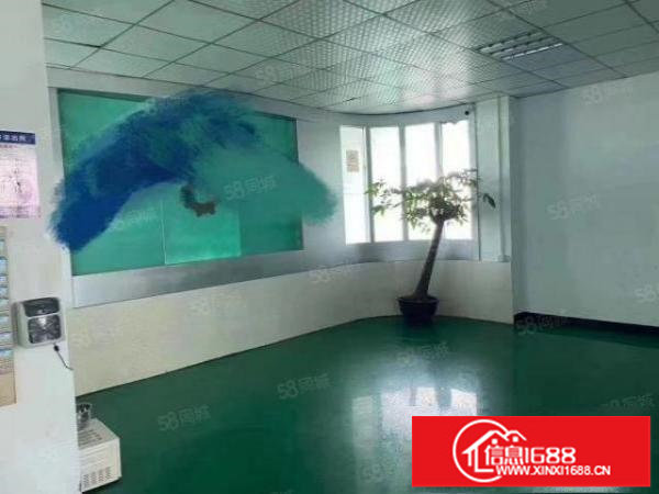 松岗大田洋新出一整层带办公室装修重工业厂房1650平招租