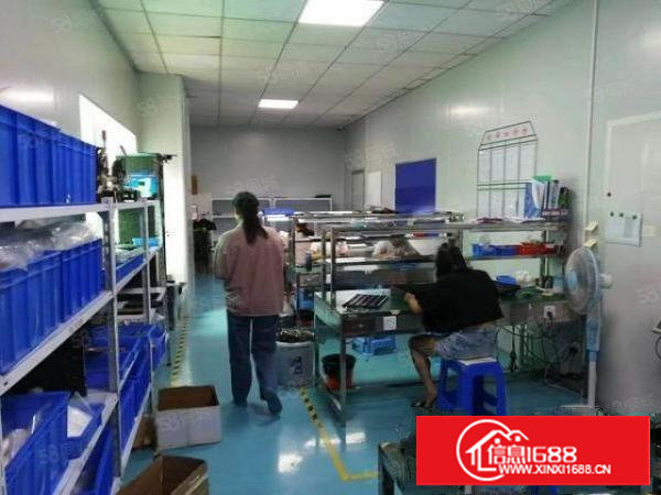 厂房招租长安乌沙新出三楼1200平方,装修齐全,拎包生产