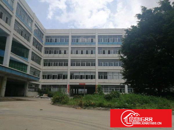 木棉湾厂房160平起租油画印刷珠宝仓库