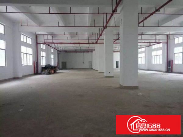 出租龙岗区228工业园一楼标准厂房出租1000平米带行车