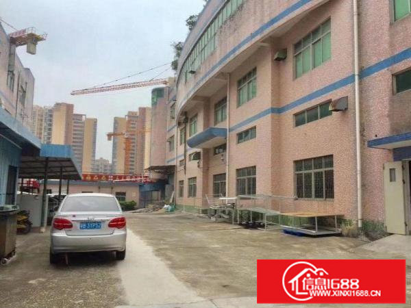 横岗刚出独门独院5000平方厂房出租采光好