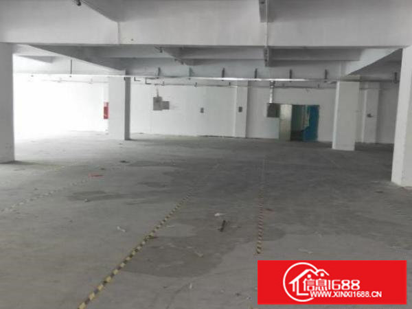 观澜高新区红本厂房楼上三楼整层2500平可分