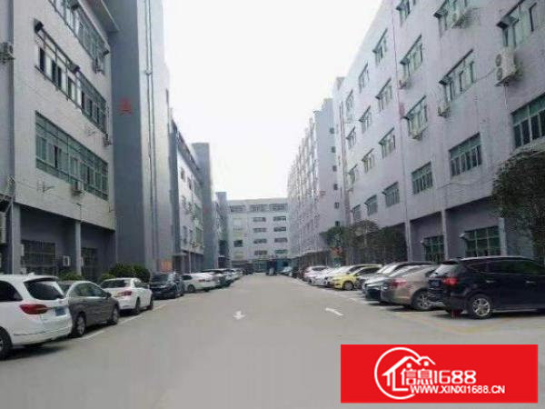 光明文阁路招租楼上厂房580平，有红本，产证齐