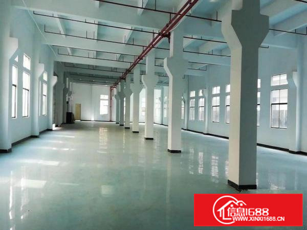 大型工业区交通便利形象漂亮租金便宜独门独院标准厂房出租