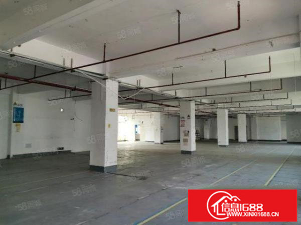 杨美地铁600米坂银通道口单层1400平独院厂房适合电商办公