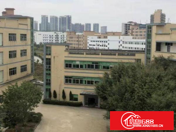 龙华大型工业园新装厂房物业直租可进大车大小可分租