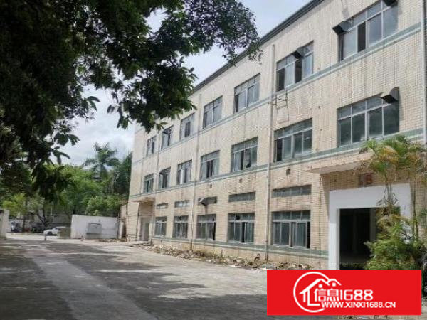 观澜独门独院厂房出租，可分租，火热招商中