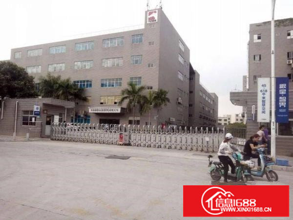 梅观高速出口1180平米出租