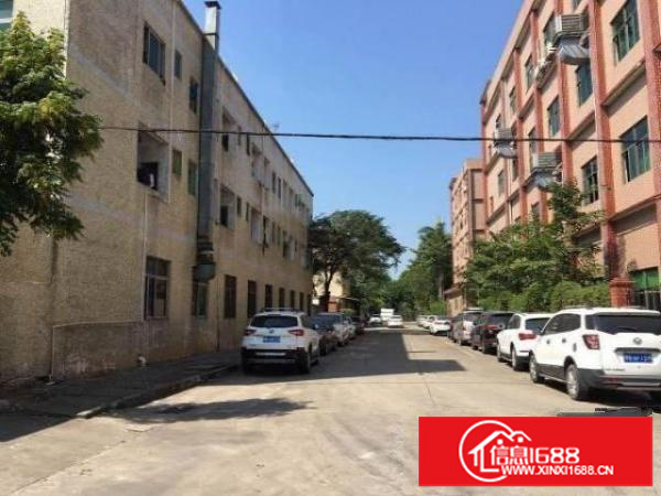 龙岗宝龙工业园原房东独门独院厂房4000平带办公室