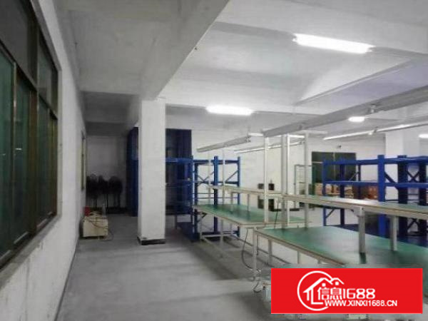 石排水贝一楼新出带装修标准厂房500平出租，无公摊