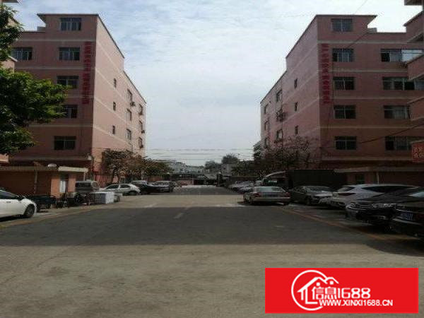 原房东！南联社区大型工业园1万平（无公摊）招租