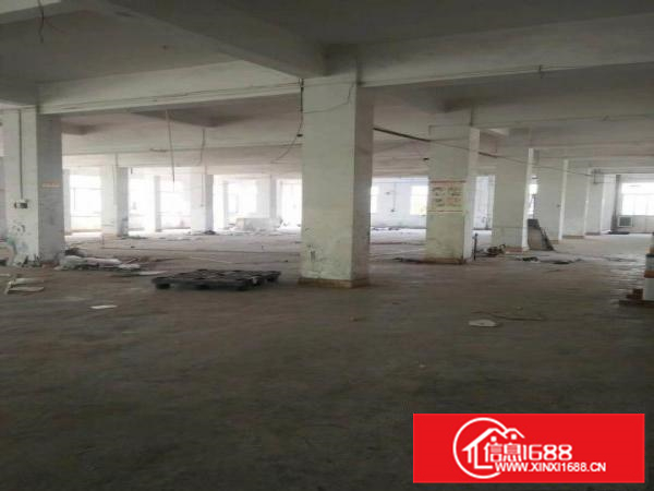 潼侨新华大道边独院厂房出租