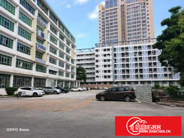 坪山原房东楼上厂房1890平方整层有红本