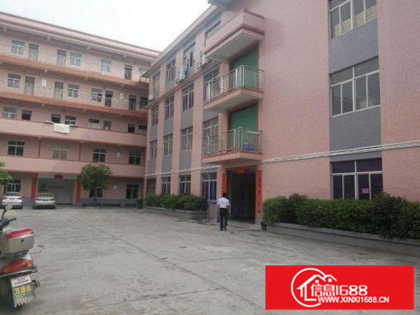 惠阳新圩一楼标准楼房500平方米