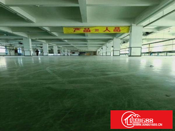 免中介费！大岭山大塘村工业园1楼2680平厂房出租，环评秒办