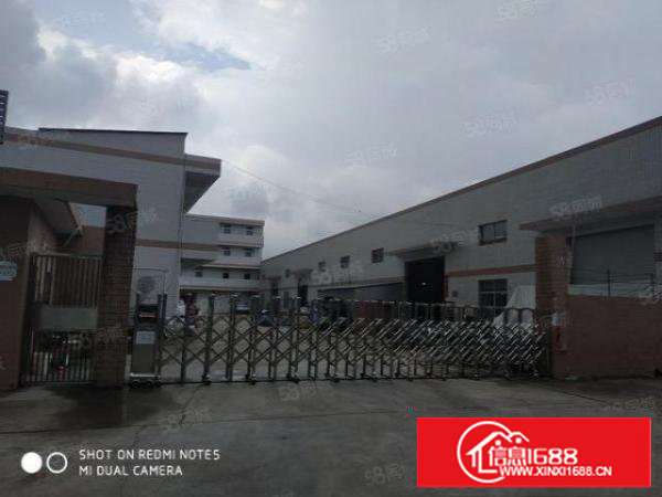 （出租）塘厦镇石马村原房东钢构独院单一层1000平方厂房出租