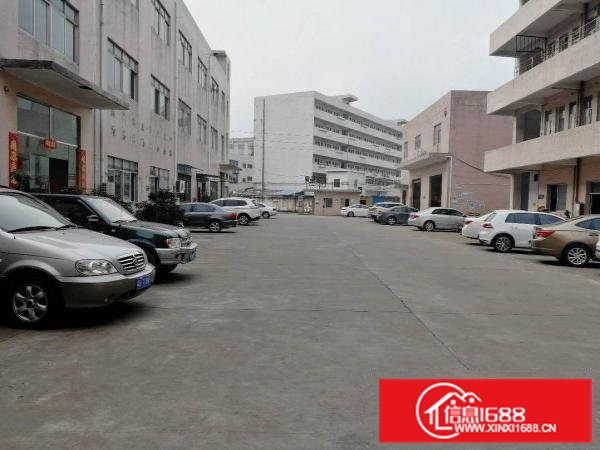 清溪标准厂房一楼750平方现成办公室装修！18块！