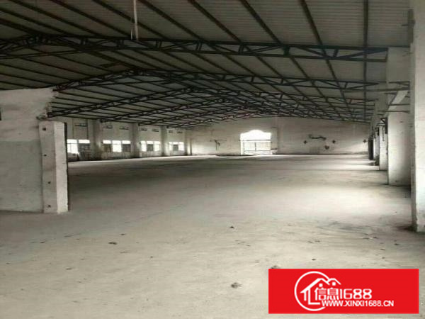 园洲主干道旁单一层钢结构滴水高8米水电齐全可做污染