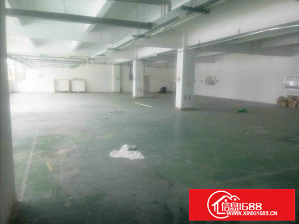 张坑康乐路独院一楼980平厂房出租底价招租