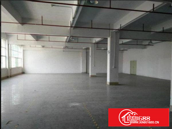 塘厦高速口标准3200平带消防喷淋,精装修办公室